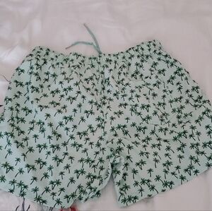 Palm Tree Print Swim Trunk Shorts